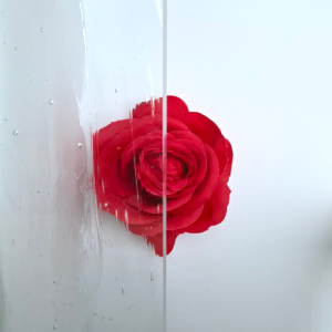 Luzora 4 mm Alt Deutsch K