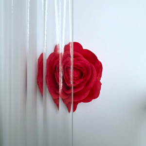 Luzora 4 mm Canale Blank