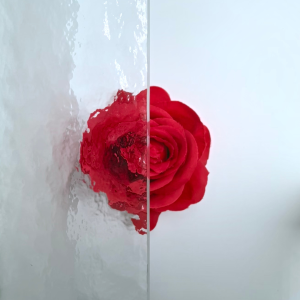 Luzora 4 mm Cathedraal Fijn