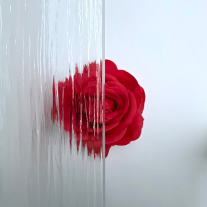 Luzora 4 mm Costwolt