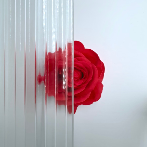 Luzora 8 mm Raywall GOT